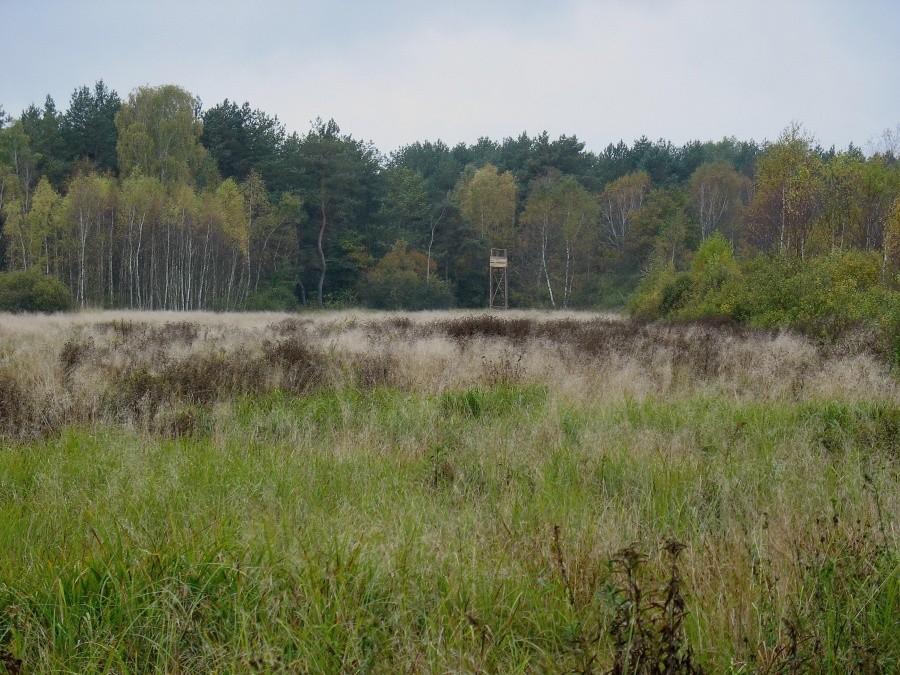 MTBO - Łucznica, przy PK 11 - mostek betonowy