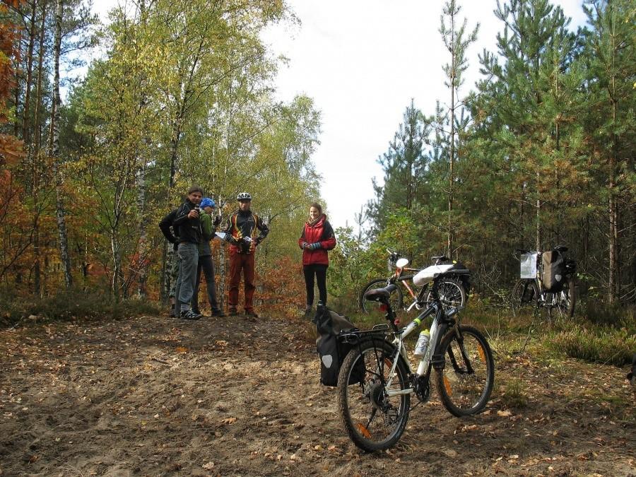 MTBO - Łucznica, PK 7 - skrzyżowanie przecinek