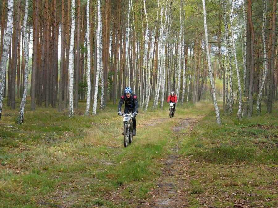 MTBO - Łucznica, między PK 7 i PK 8