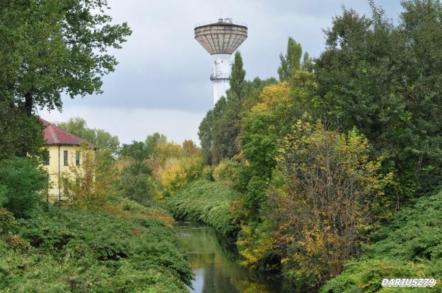 Sosnowiec - Katarzyna