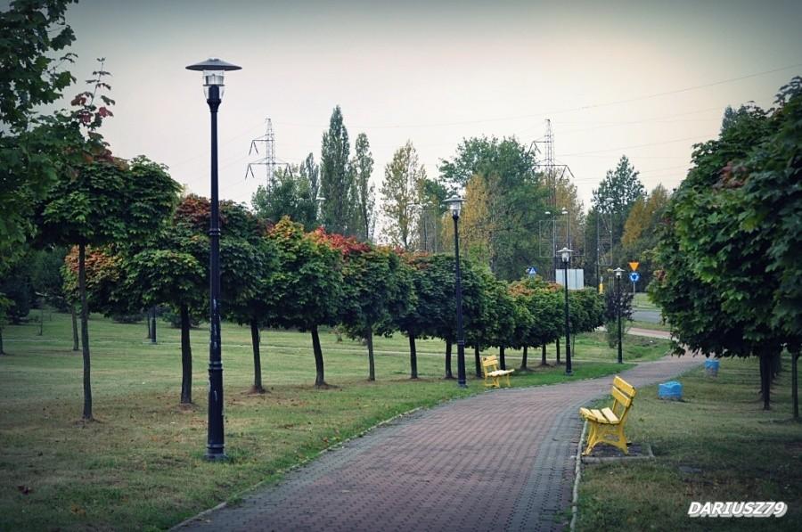 Sosnowiec - Park Środula