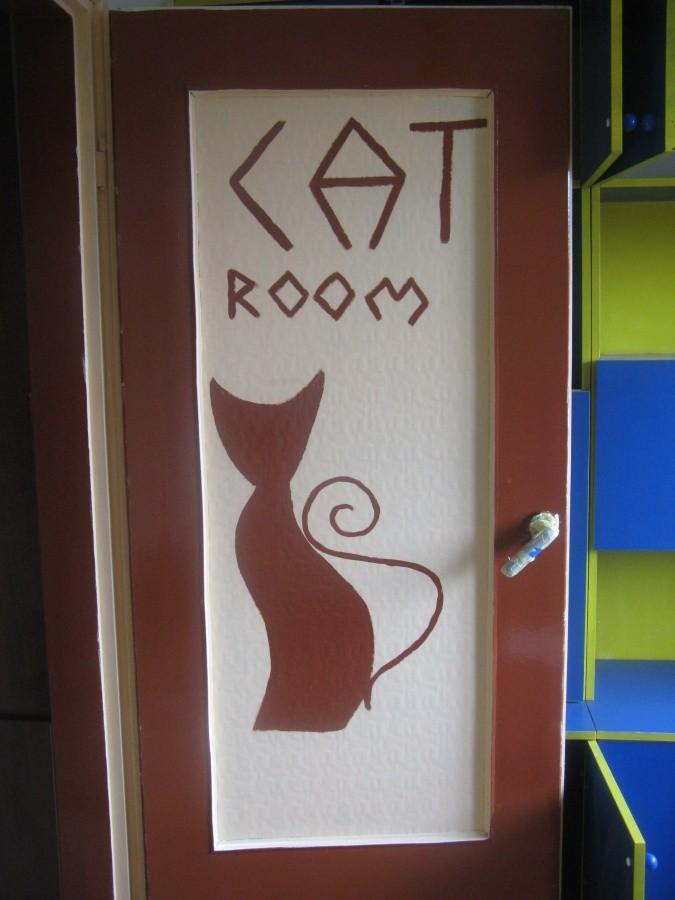 Cat room :-)