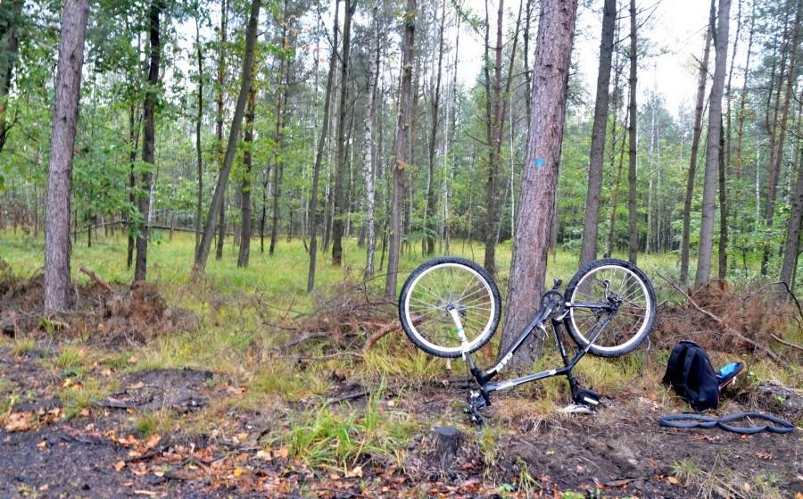 Pana pod Lędzinami