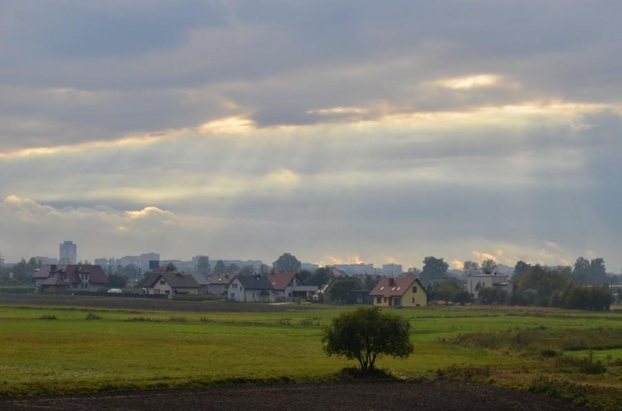 Rzut oka na tychy