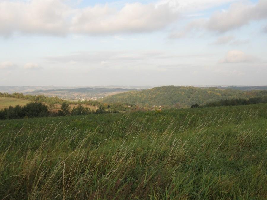 Widok na okolice Błażowej.
