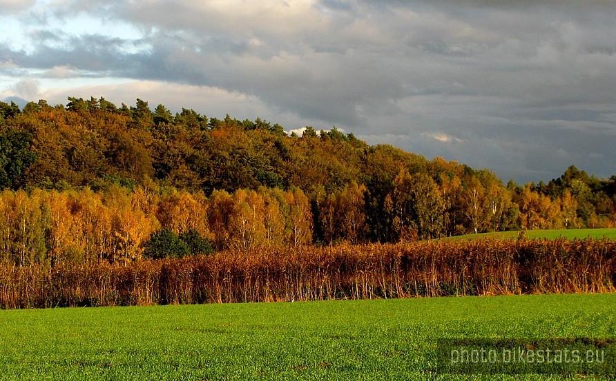 Barwy jesieni.