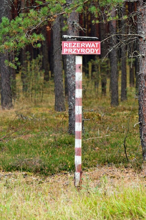 Granica rezerwatu "Źródła Rzeki Stążki"