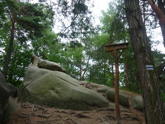 Skała "Borsuk"