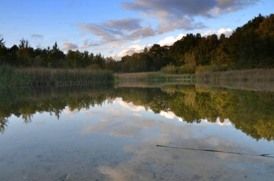 Staw w Makoszowach