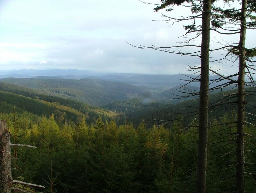 Krajobraz na góry