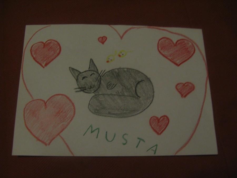 I love Musta