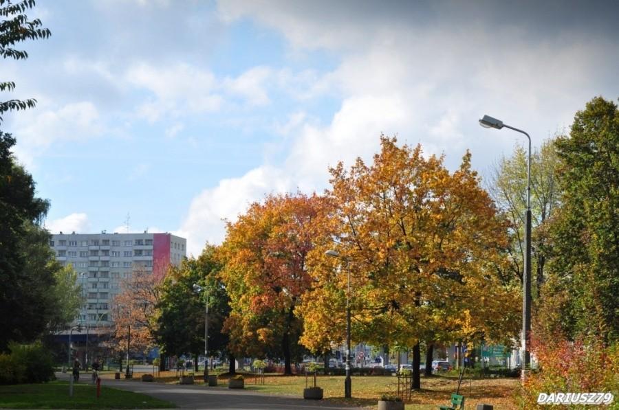 Sosnowiec - Park sielecki