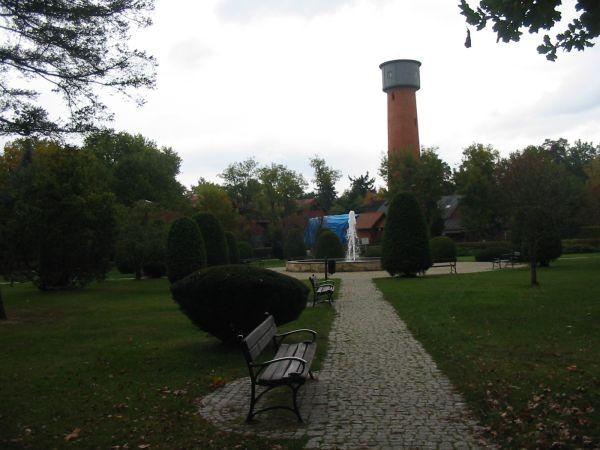 park angielski w Spale