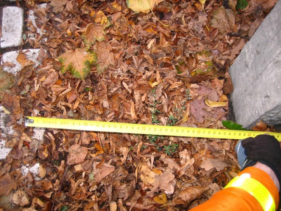 „Ścieżka” wytyczona na chodniku ma w niektórych miejscach niecałe 30 cm szerokości