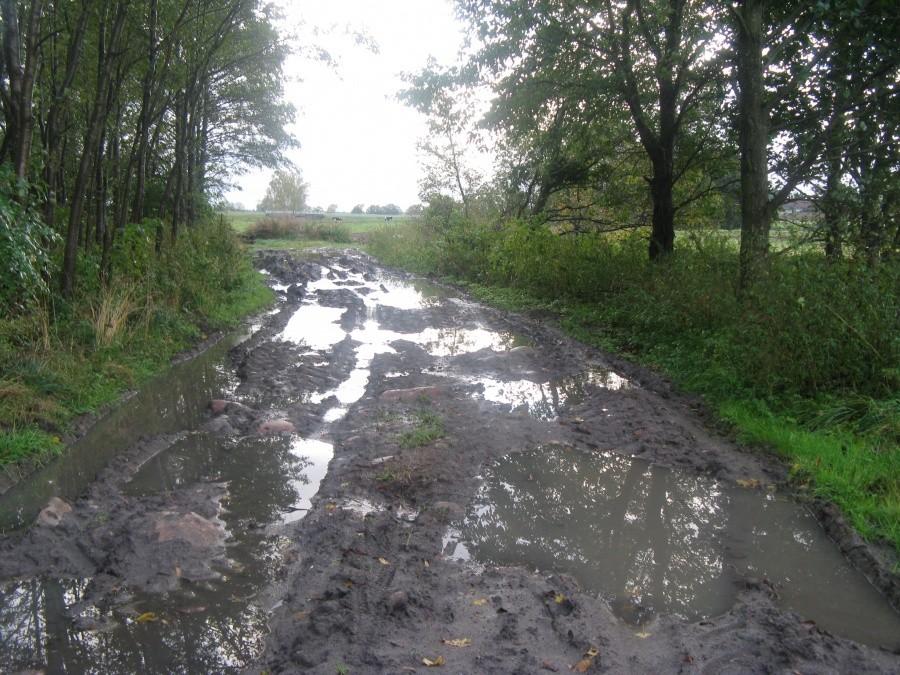 Błotko na Harpaganie