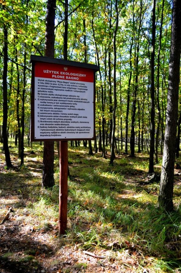 Użytek ekologiczny Płone Bagno