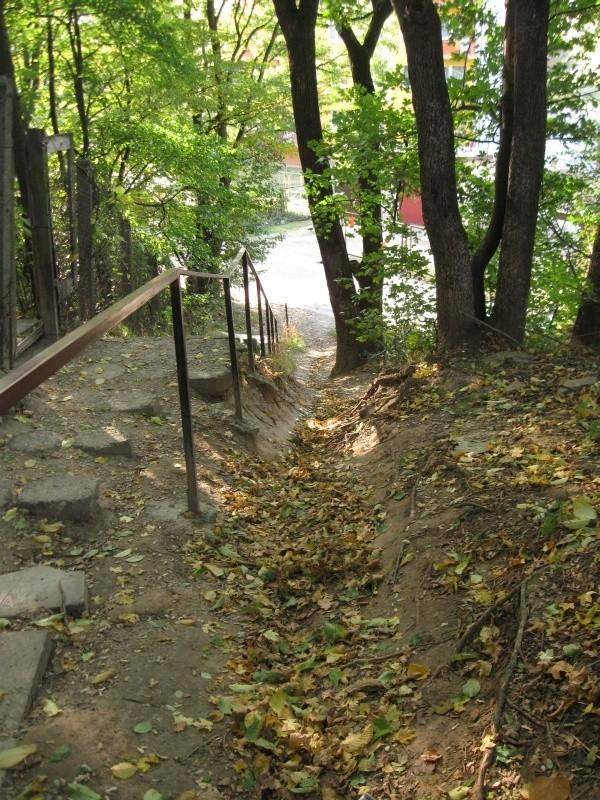 Dzisiaj bez gleby.