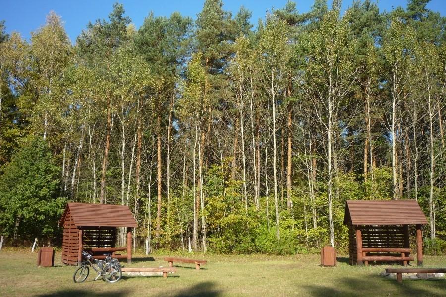 "Stara Szkółka-polana