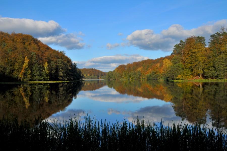 Jezioro Przywidzkie