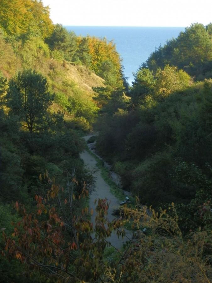 Wąwóz Chłapowski.