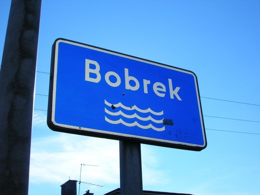 rzeka Bobrek w Sosnowcu