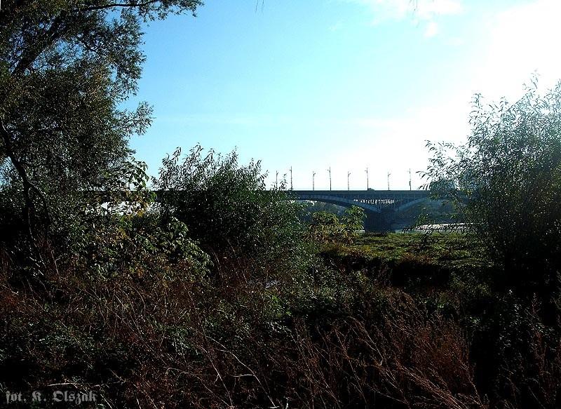 Natura 2000 nad Wisła