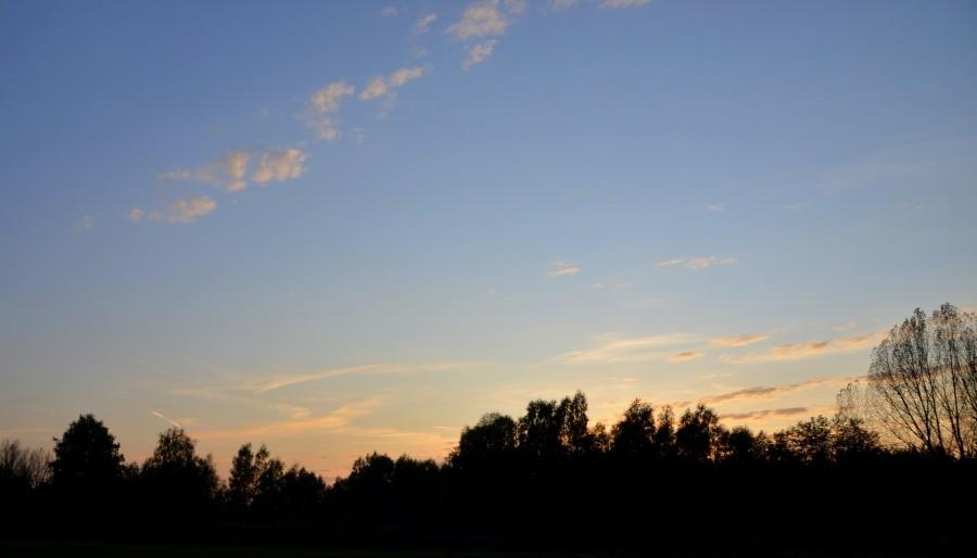 Wieczorową porą