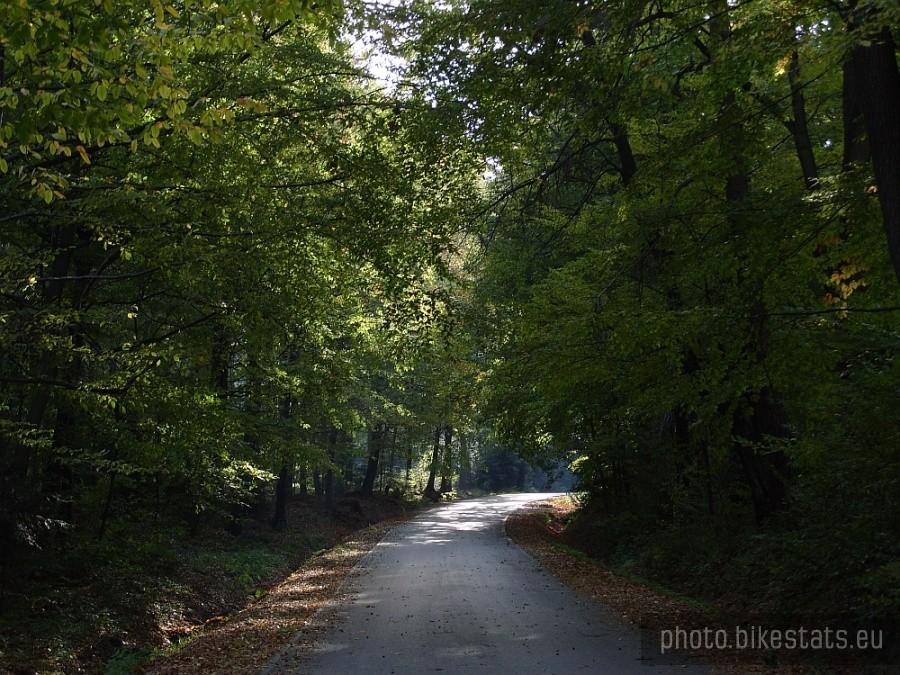 Podjazd na Kokocz ze Zwiernika