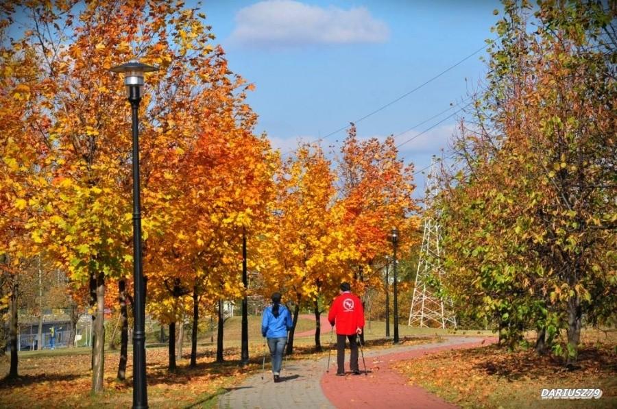 Sosnowiec - Park Środula