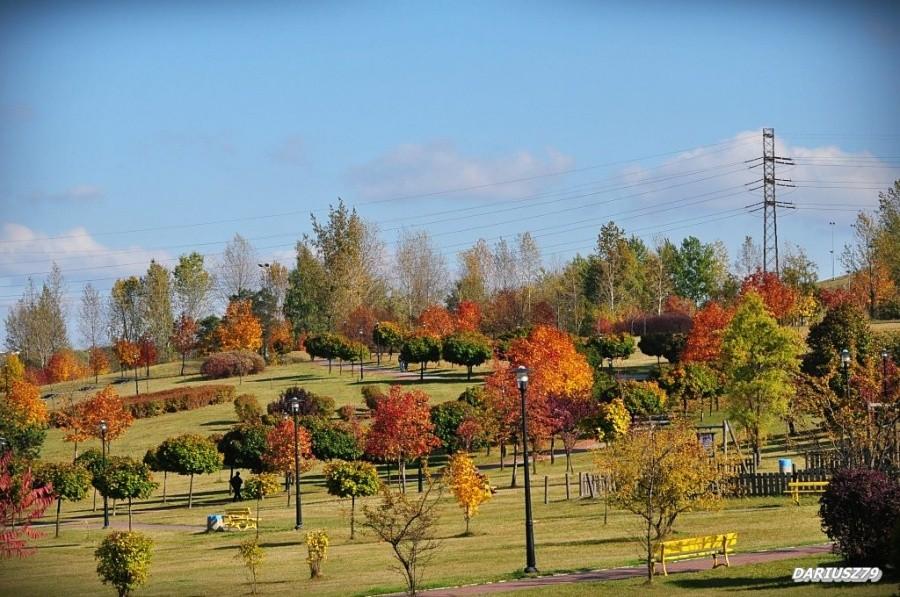 Sosnowiec - Park Środula