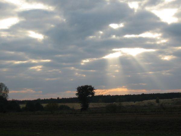 prześwit