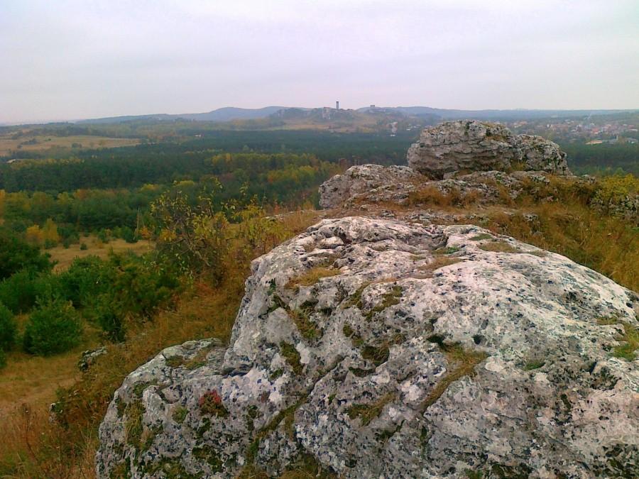 Widok na zamek w Olsztynie z Gór Towarnych.