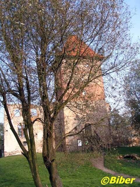Jesienny Chudów