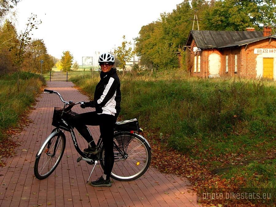Ścieżka rowerowa z Bolesławowa do Borówna .