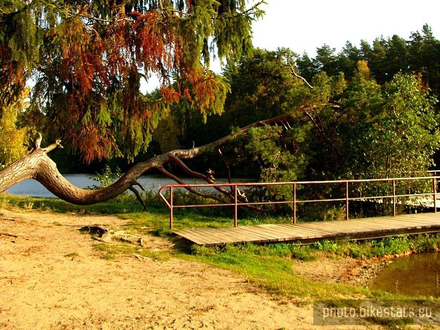 Plaża nad jeziorem w Borównie.