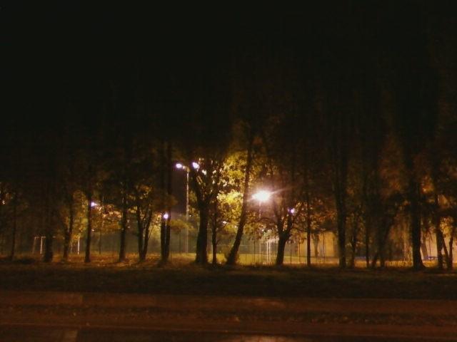 Orlik przy Drewnowskiej