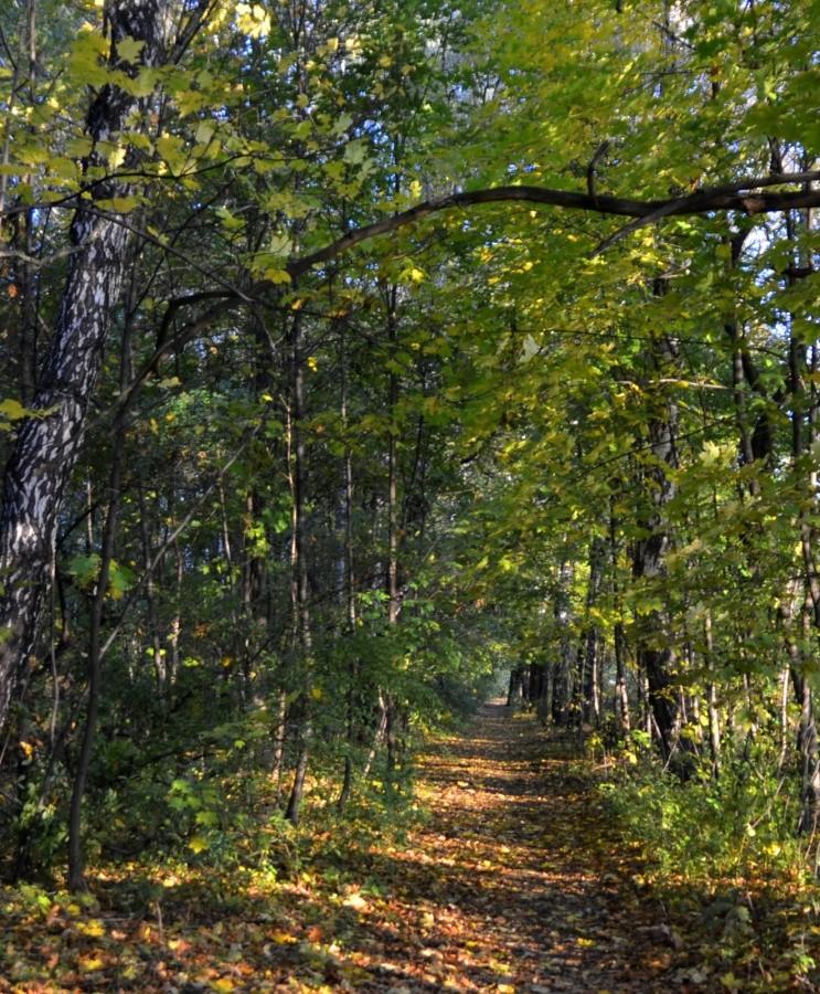 Kolorowy tunel