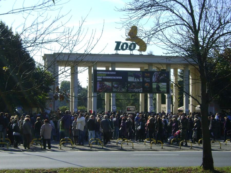 Tłumy do ZOO