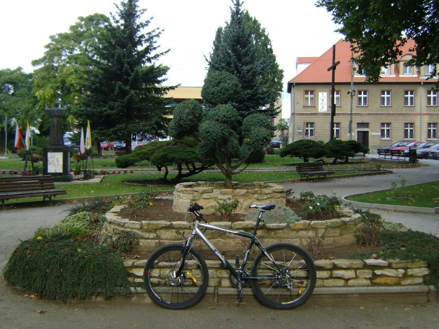 Pod "drzewkiem szczęścia"