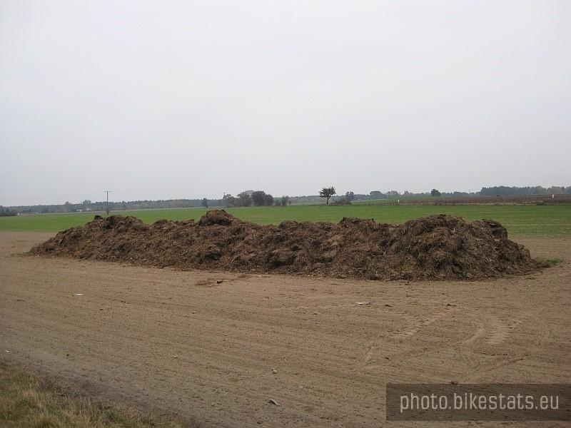 niezły gnojek