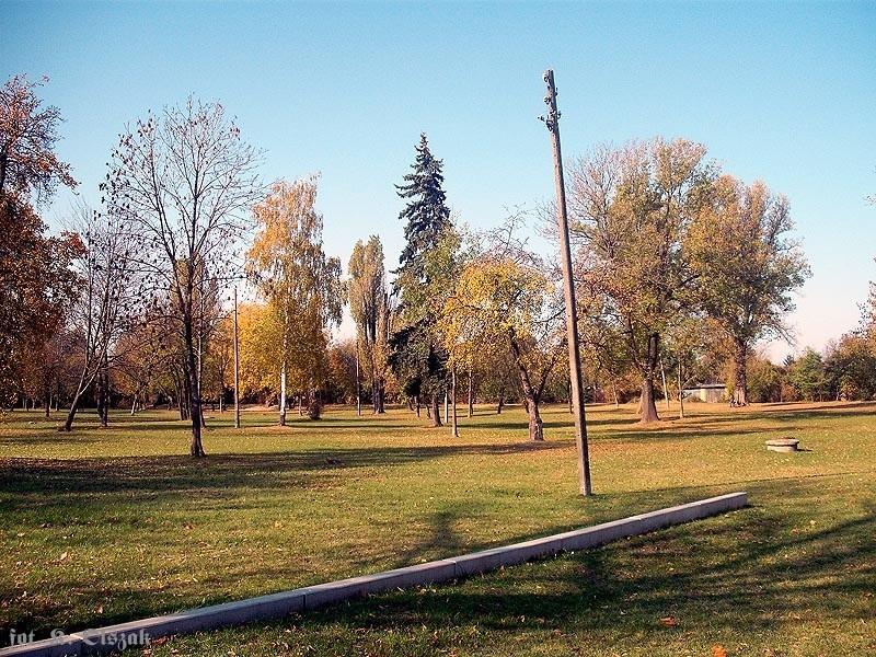Jesienne Pole Mokotowskie (1)