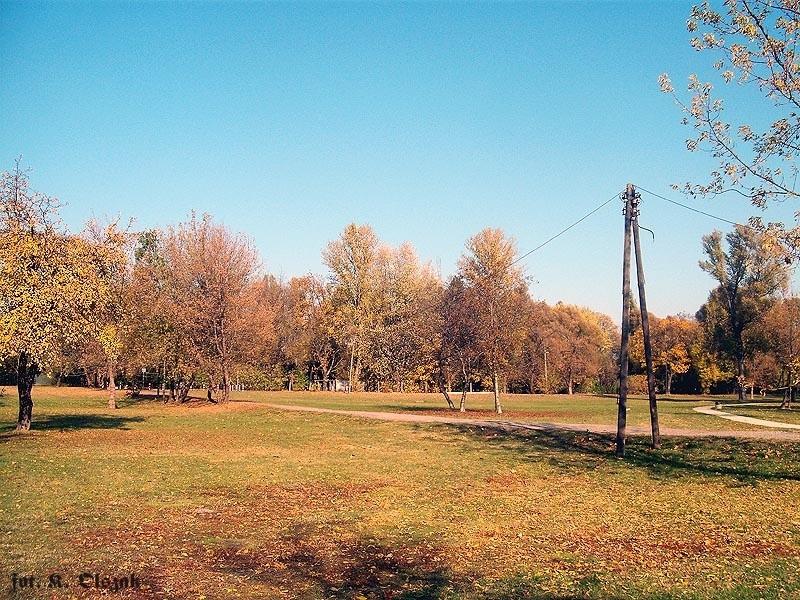 Jesienne Pole Mokotowskie (2)