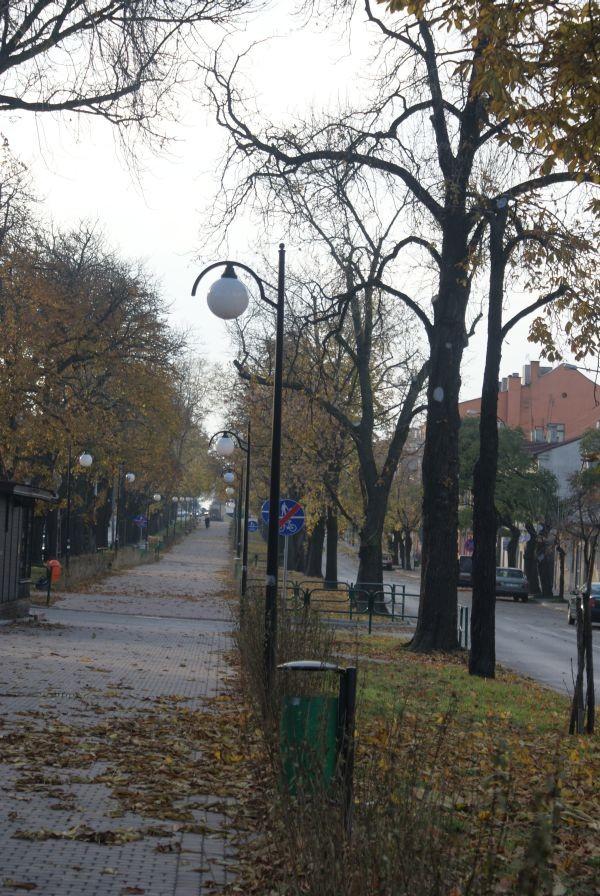 aleje Józefa Piłsudskiego