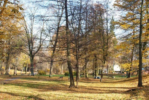 jesień w parku Solidarności