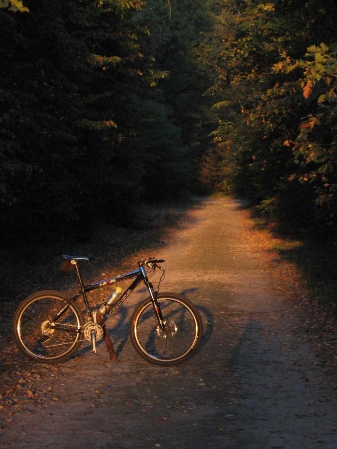 Mój Customowy Kross Level