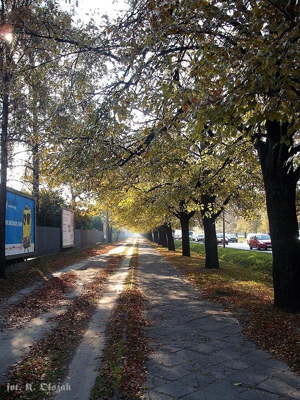 Jesień na Ochocie