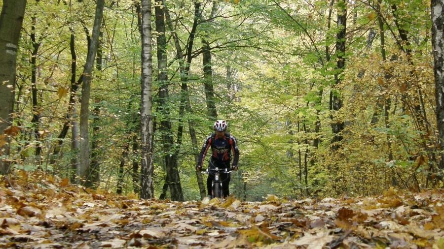 Jesienne interwały z JPbike'em na zielonym :)