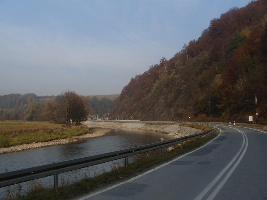 Zubrzyk