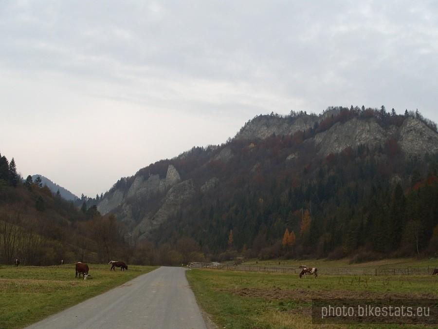 Dolina Leśnickiego Potoku