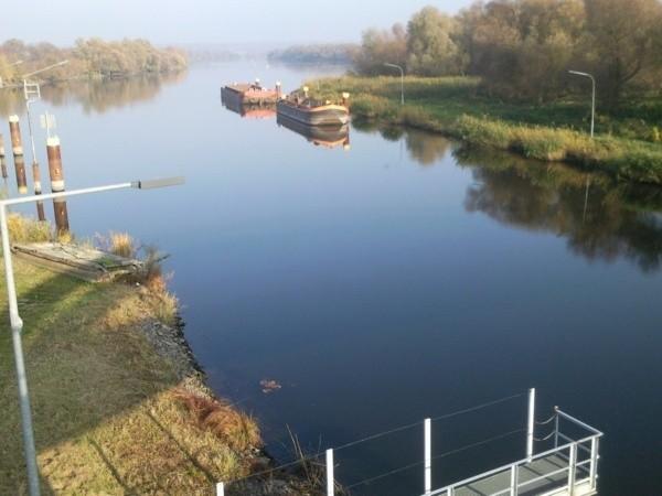 Odra